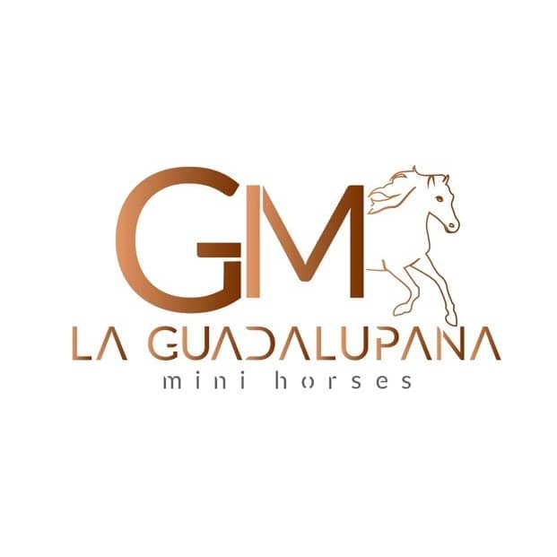 Criadero de Caballos Mini - La Guadalupana - Logo